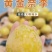 李子特大果5元/斤，中大果4元/斤