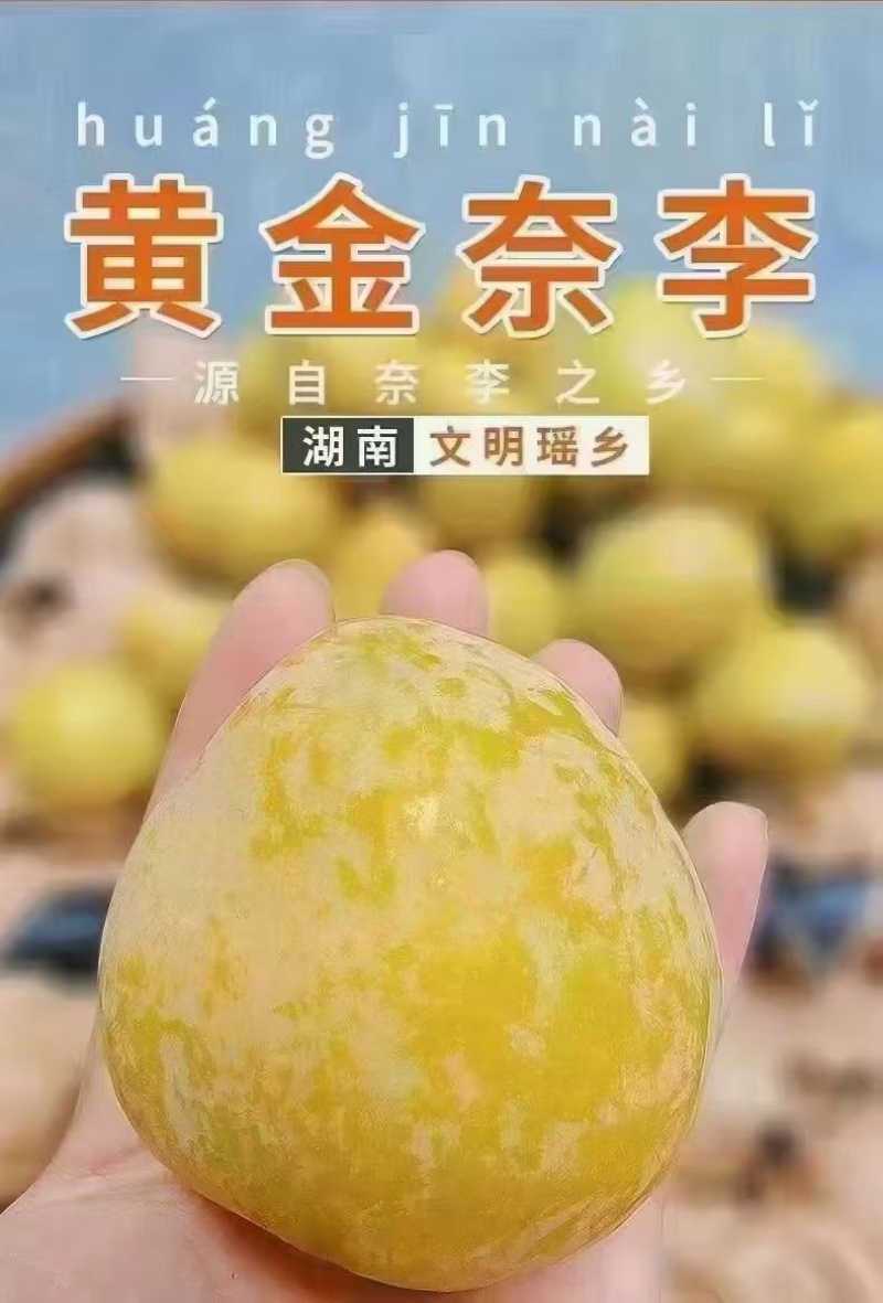 李子特大果5元/斤，中大果4元/斤