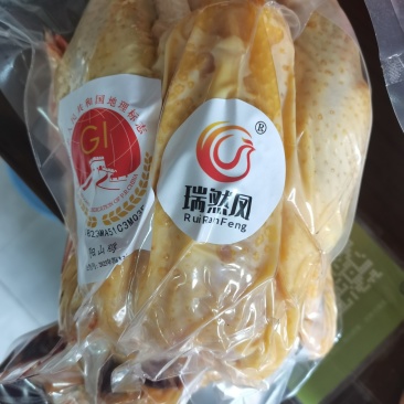 阳山鸡毛鸡21元/斤，毛鸡称重包杀27元/斤
