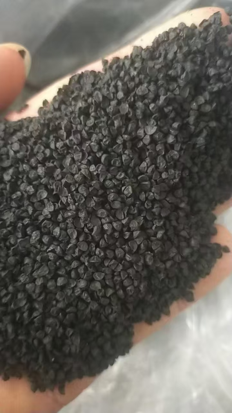 洋葱种子散装
