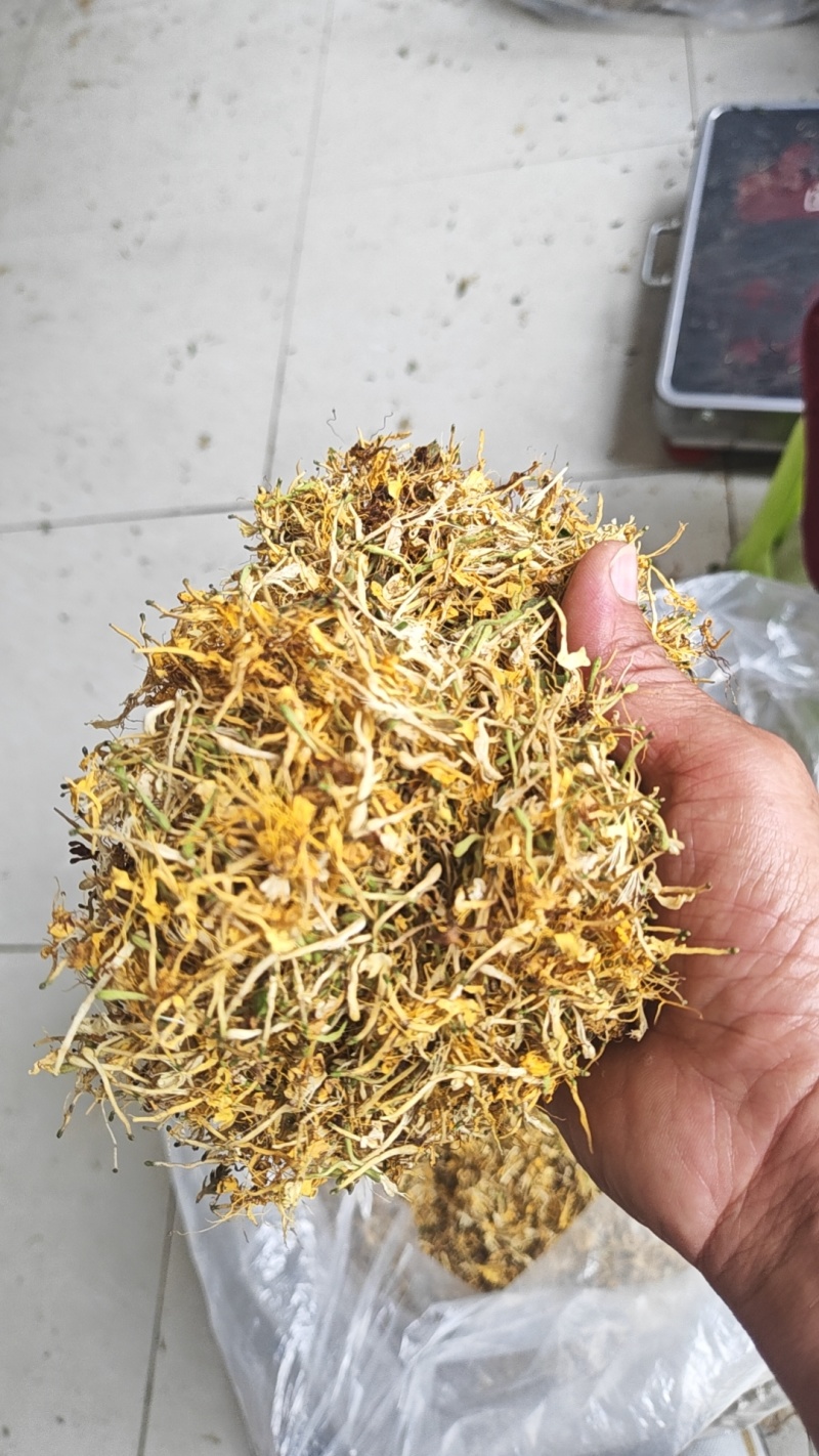 金银花一叶迷/黄金花统货;青色花籽和开花统货20~26
