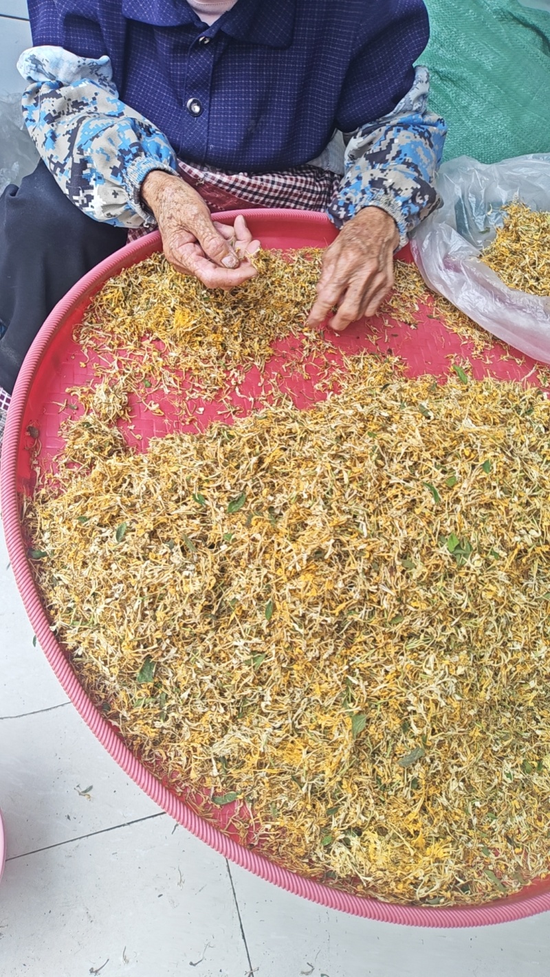 金银花一叶迷/黄金花统货;青色花籽和开花统货20~26