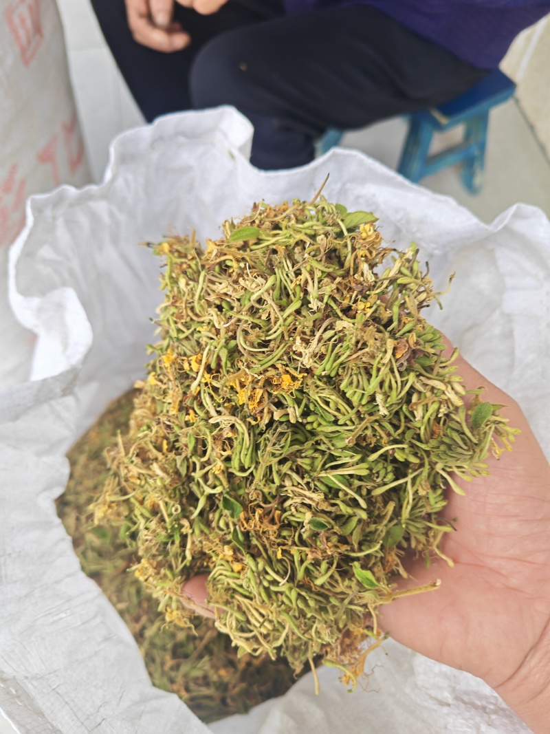 金银花一叶迷/黄金花统货;青色花籽和开花统货20~26