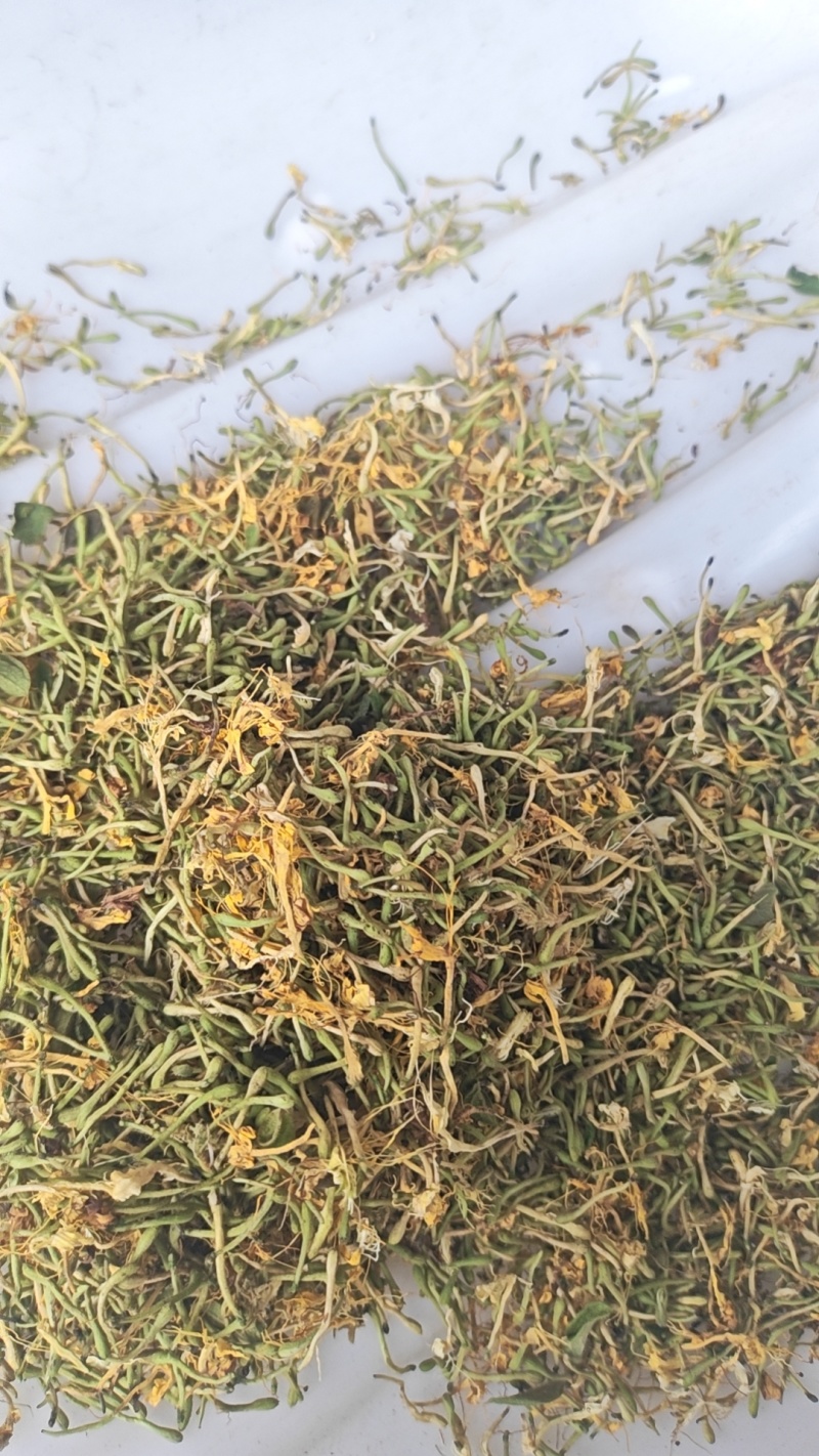金银花一叶迷/黄金花统货;青色花籽和开花统货20~26