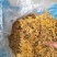 金银花一叶迷/黄金花统货;青色花籽和开花统货20~26