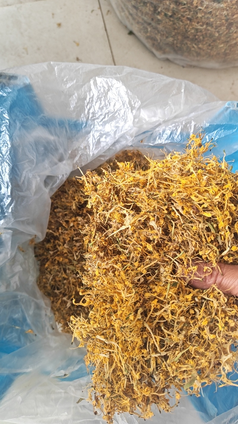 金银花一叶迷/黄金花统货;青色花籽和开花统货20~26