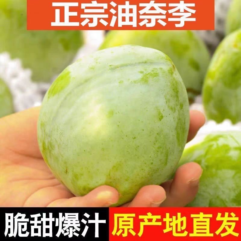 李子