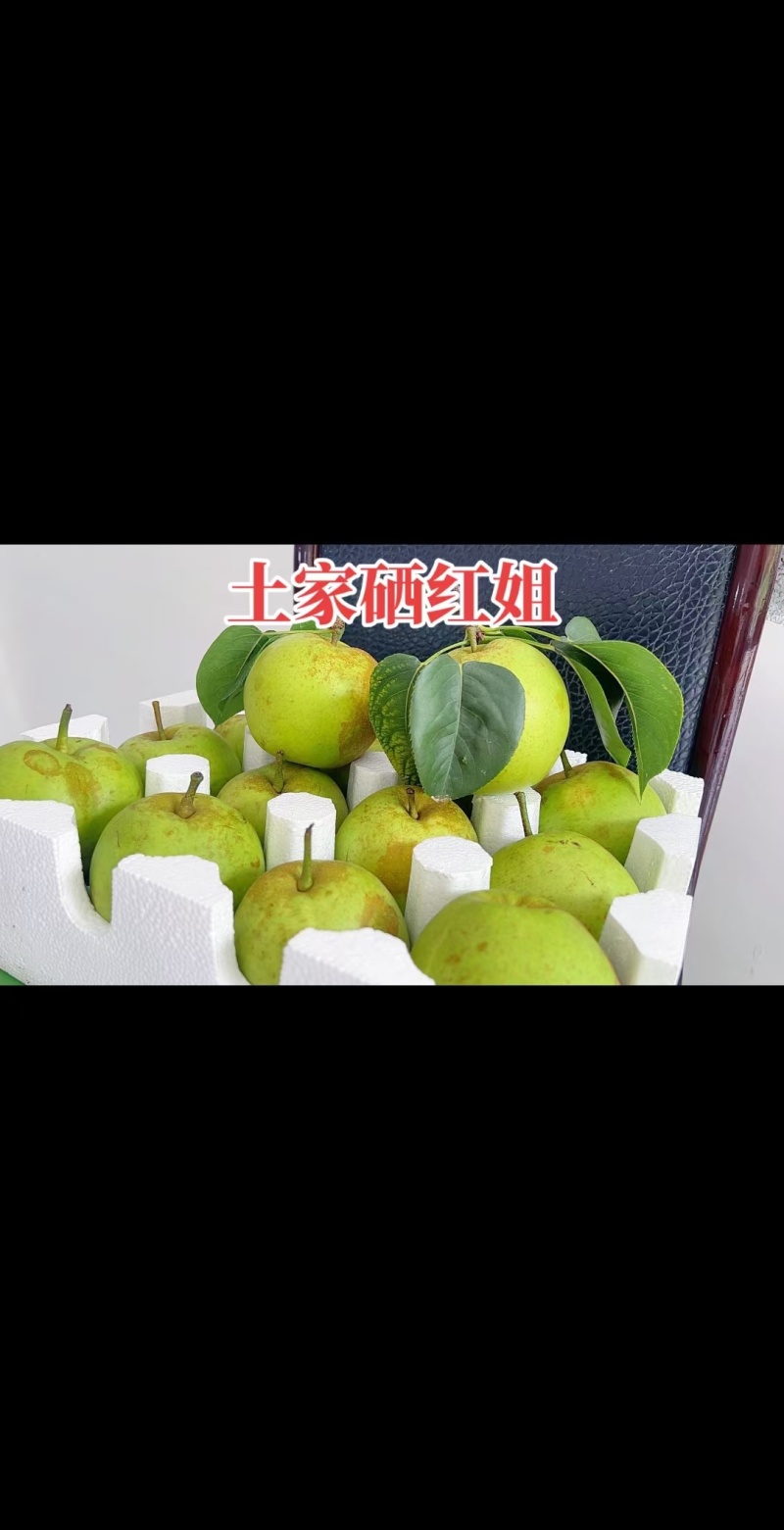 梨单果7两以上