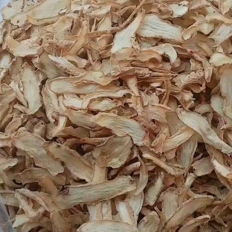天麻切片