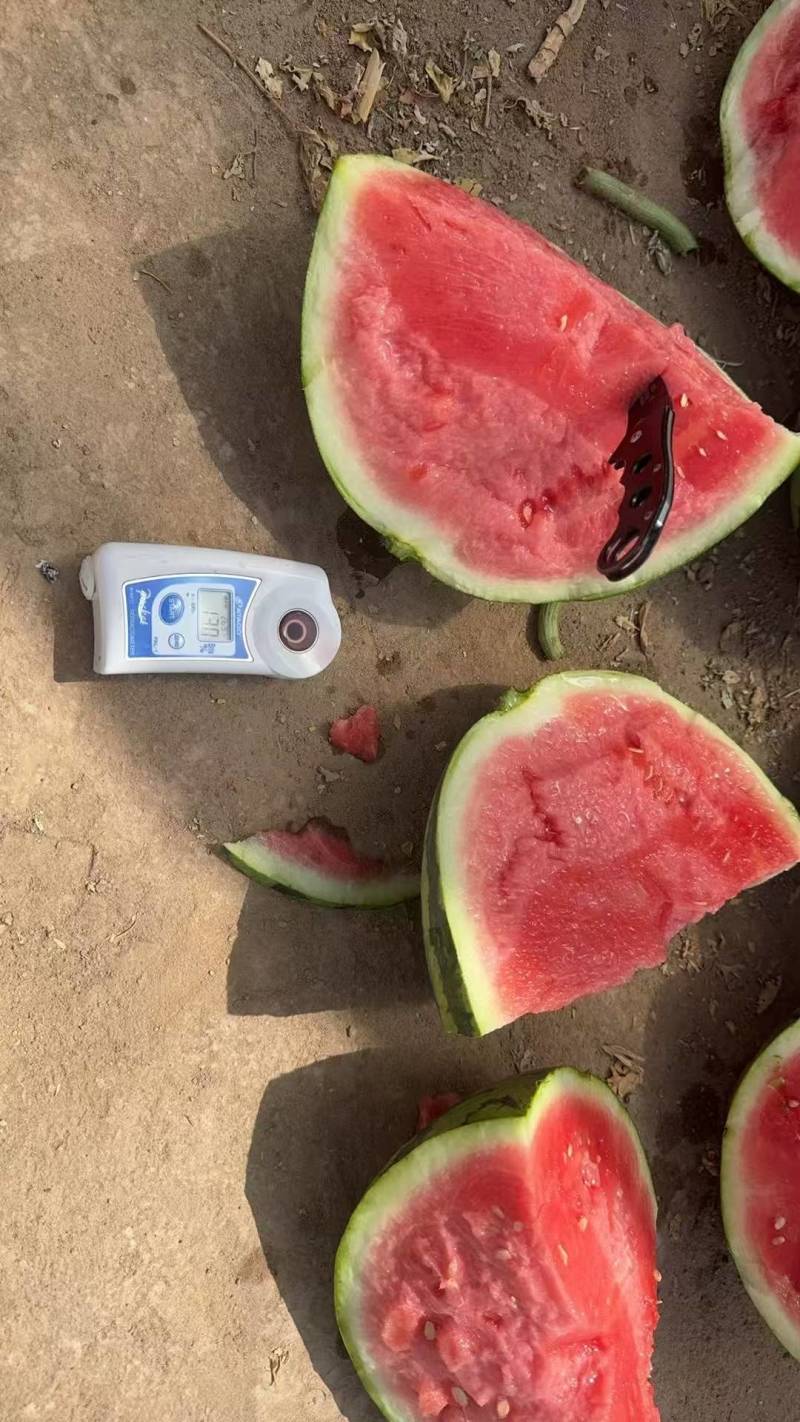 硒砂瓜一手货源，品质有保证