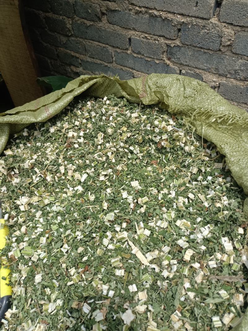 益母草