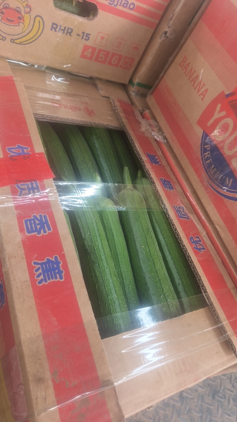 丝瓜
