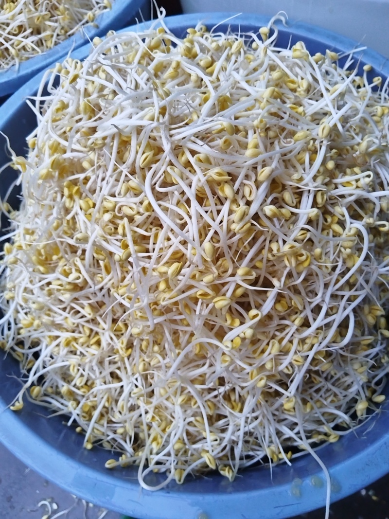 豆芽按斤装袋