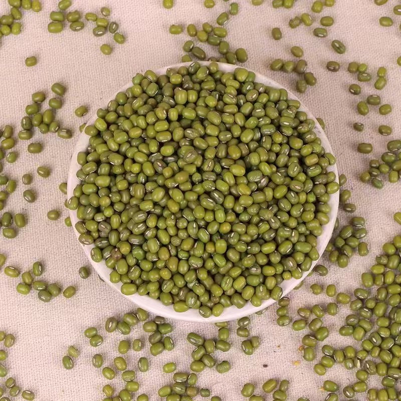 绿豆小粒