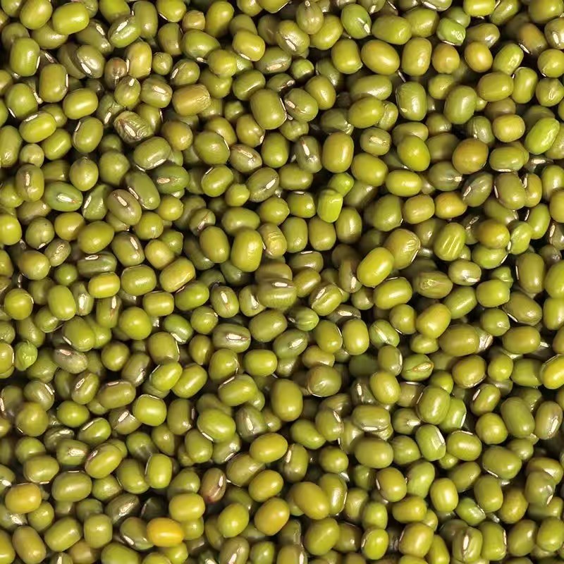 绿豆小粒