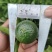 小青柑鲜果，尺寸3-4.8cm
