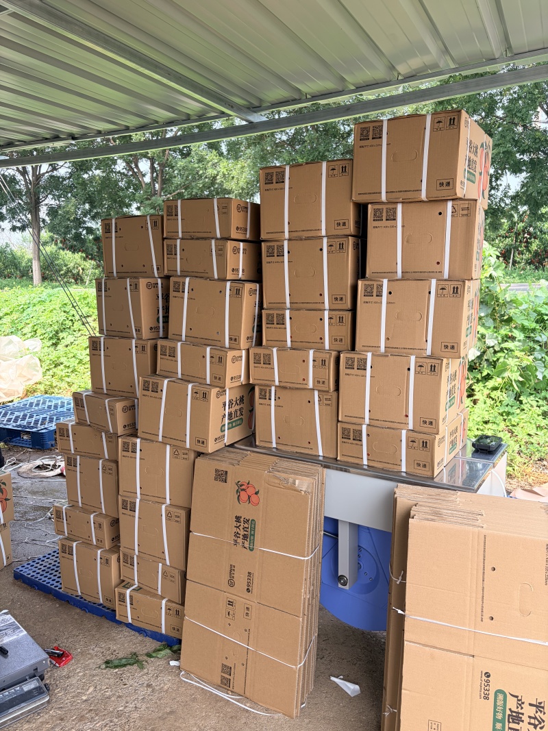 桃标准果/精品果4.5两起步红蟠桃/奥优
