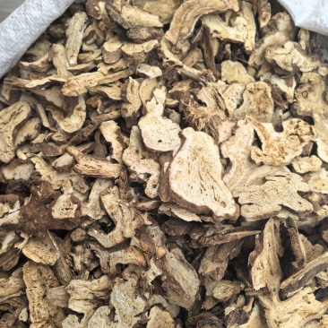 白术片无硫特大片