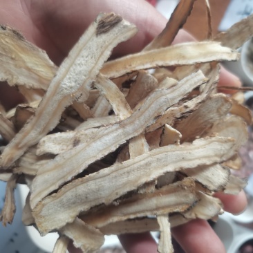 当归当归头片（手选/过筛）、当归条片