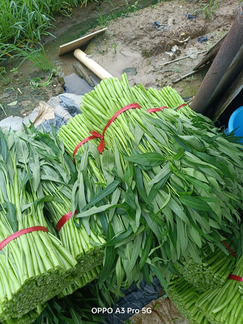 空心菜一把三四斤，通货