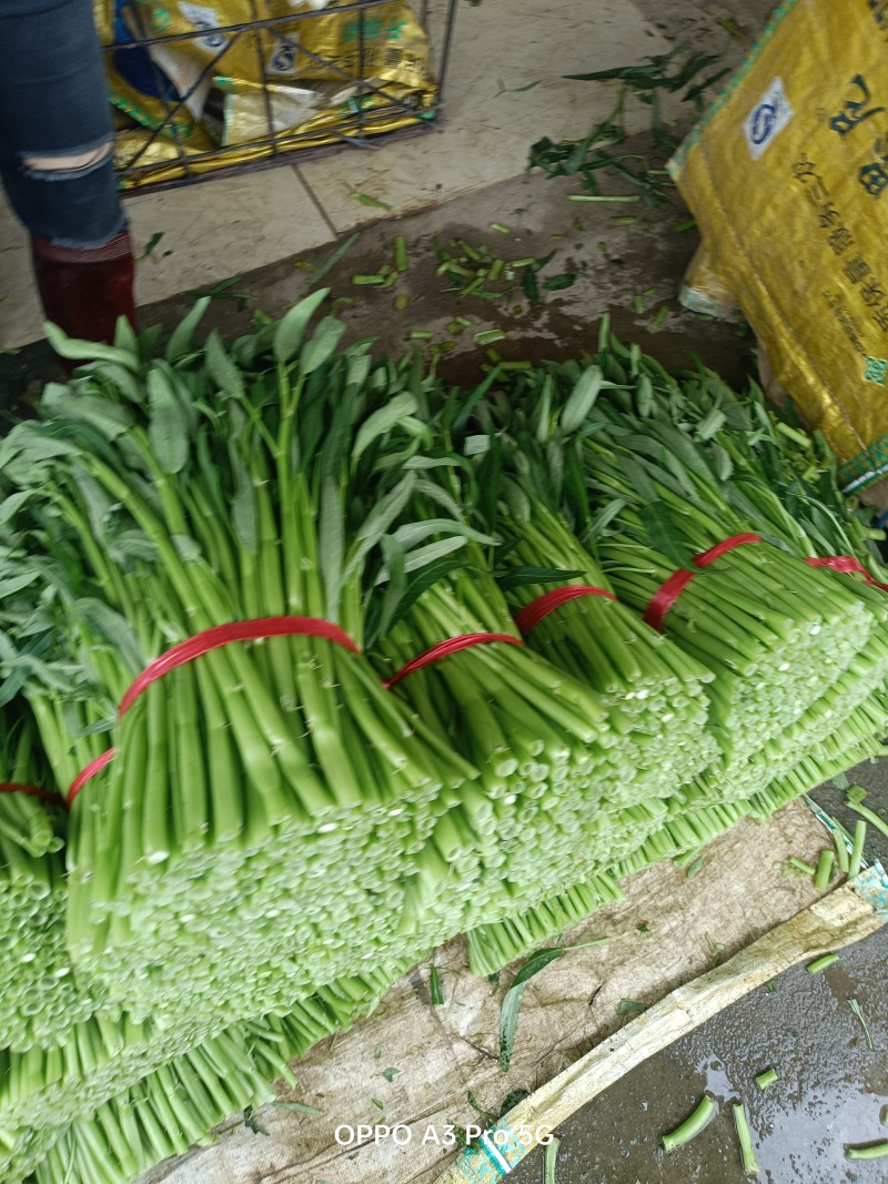空心菜一把三四斤，通货