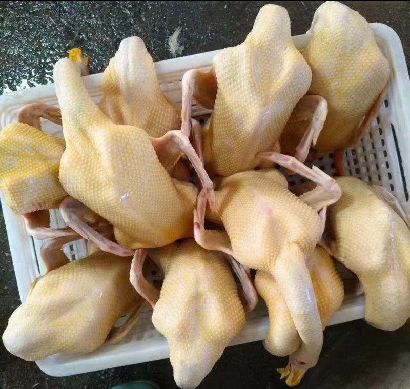麻鸭粮食养殖180天以上，标准五斤左右。活鸭批发12元/