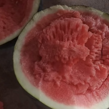 黑皮无籽西瓜农户自产几十万斤