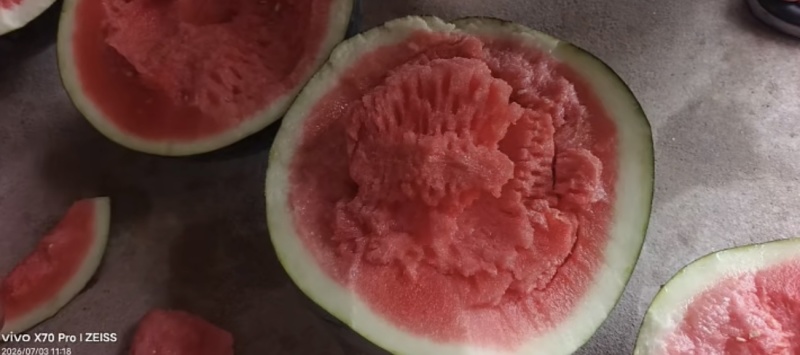 黑皮无籽西瓜农户自产几十万斤