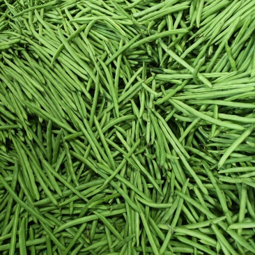 四季豆四季豆