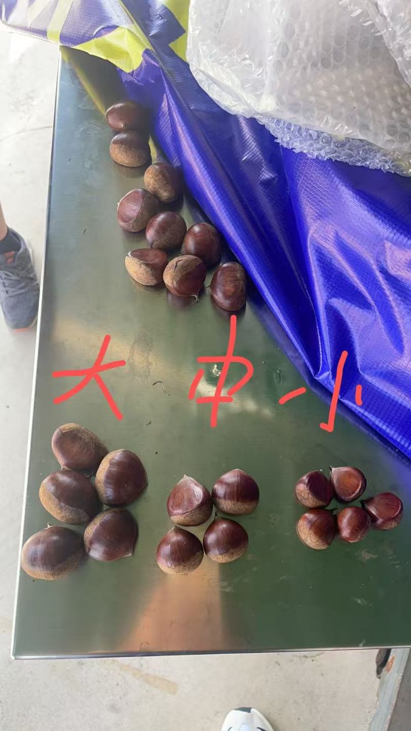 板栗大中小分级