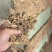 稻草撕碎除尘小方包，约75斤/包，上车价620元/吨