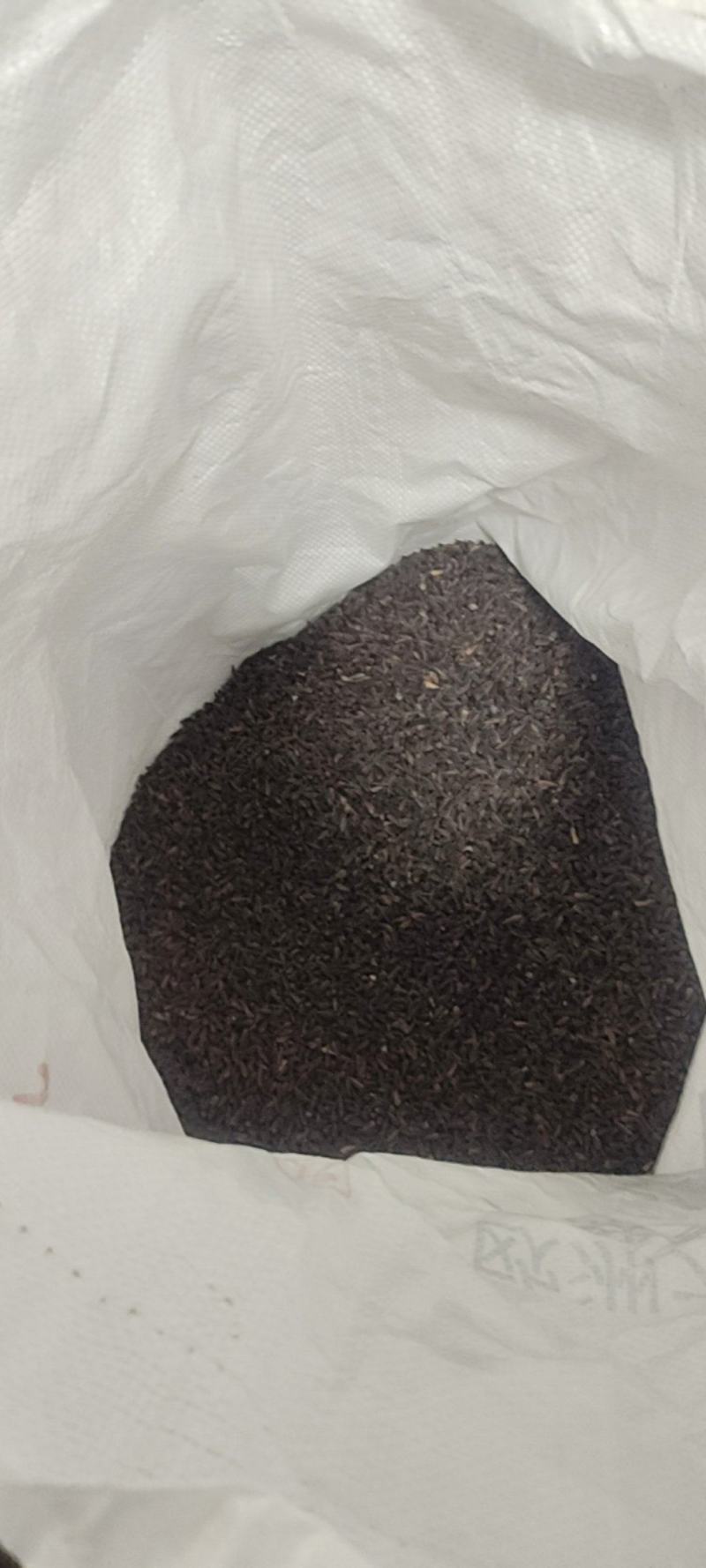 百部种子紫花百部种子