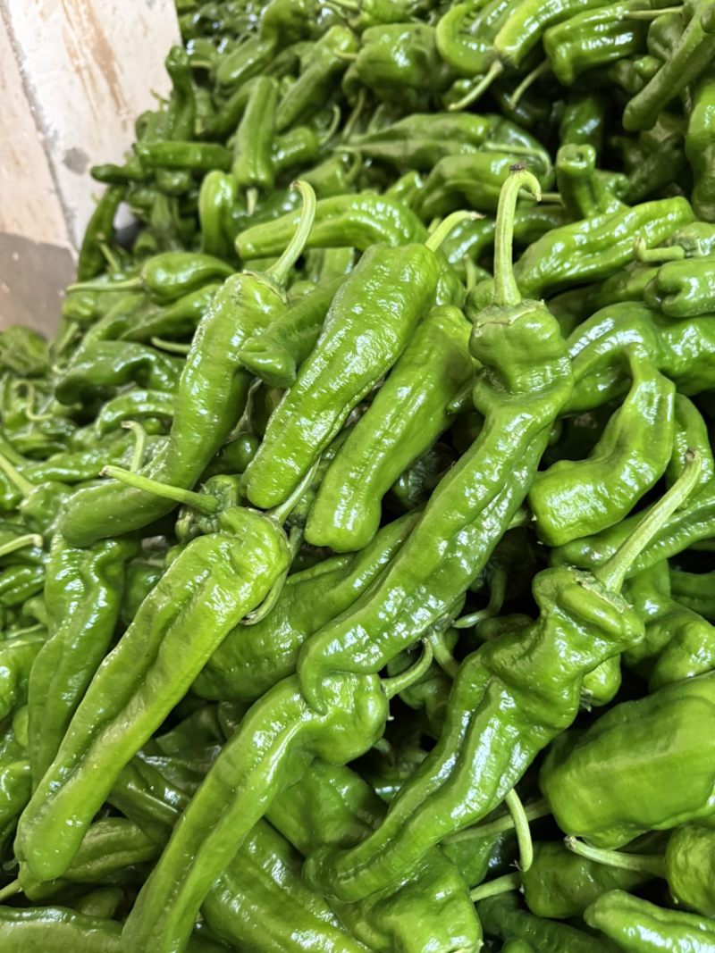 鲜辣椒薄皮青椒