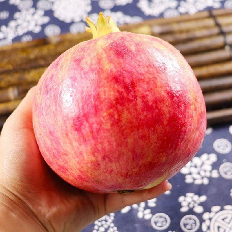 石榴大量上市后定价