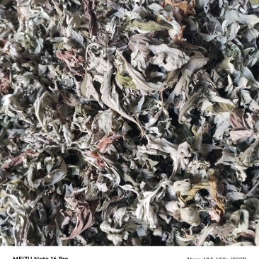 艾叶统货有少量杂质/纯艾叶人工手选干净无杂质
