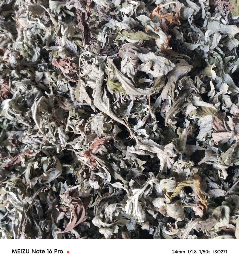 艾叶统货有少量杂质/纯艾叶人工手选干净无杂质