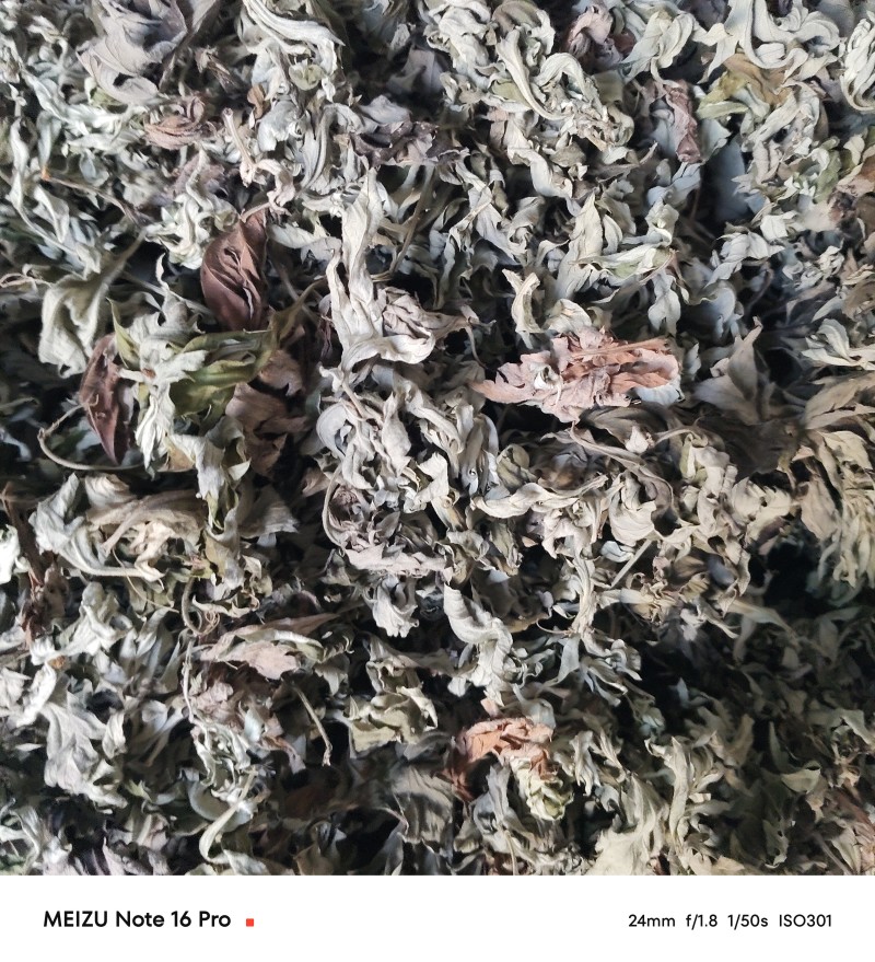 艾叶统货有少量杂质/纯艾叶人工手选干净无杂质