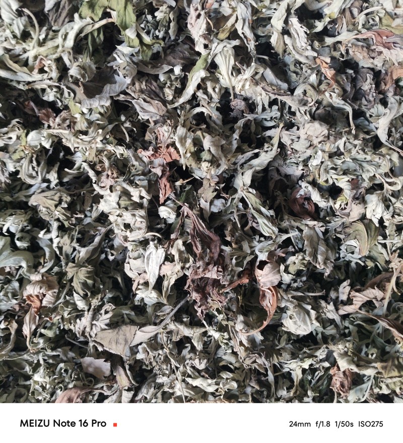 艾叶统货有少量杂质/纯艾叶人工手选干净无杂质