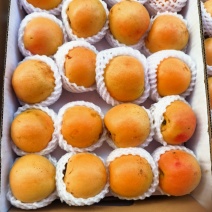 黄桃
