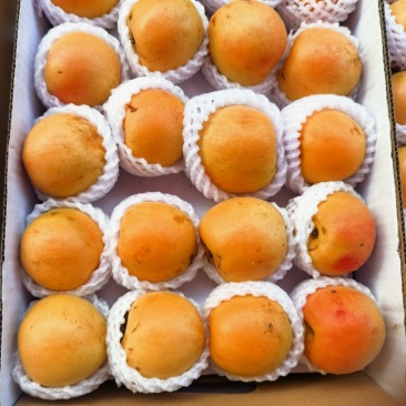 黄桃