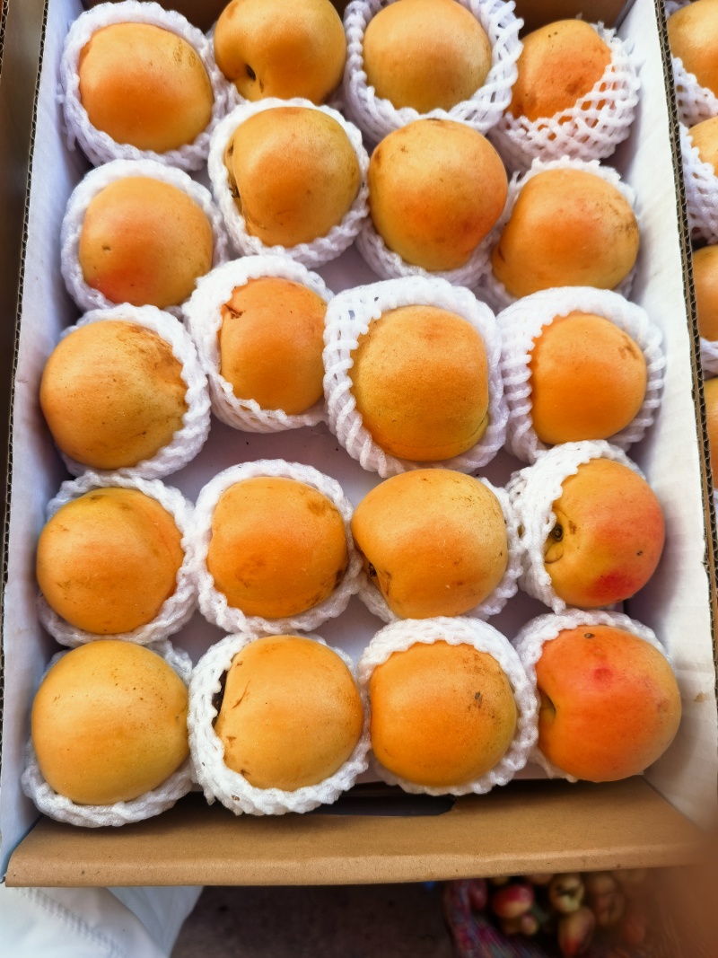 黄桃