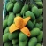 贵妃芒果中果10斤装