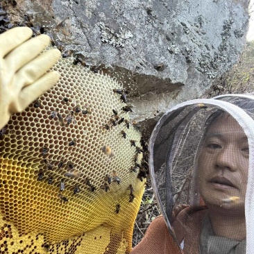 蜂蜜