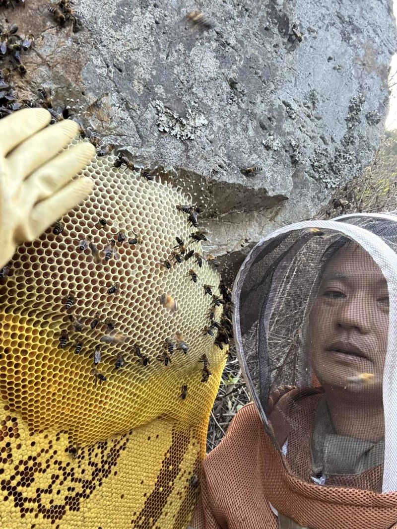蜂蜜