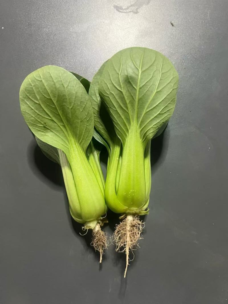 油菜大框30斤35元;小框20斤28元