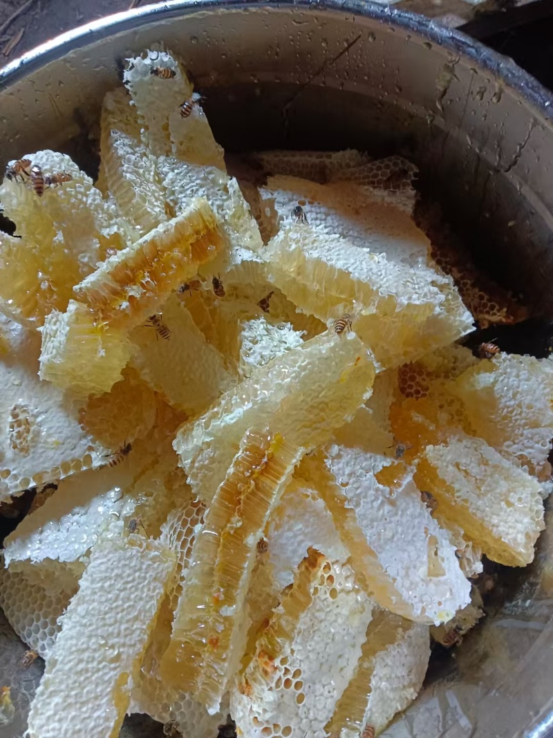 土蜂蜜