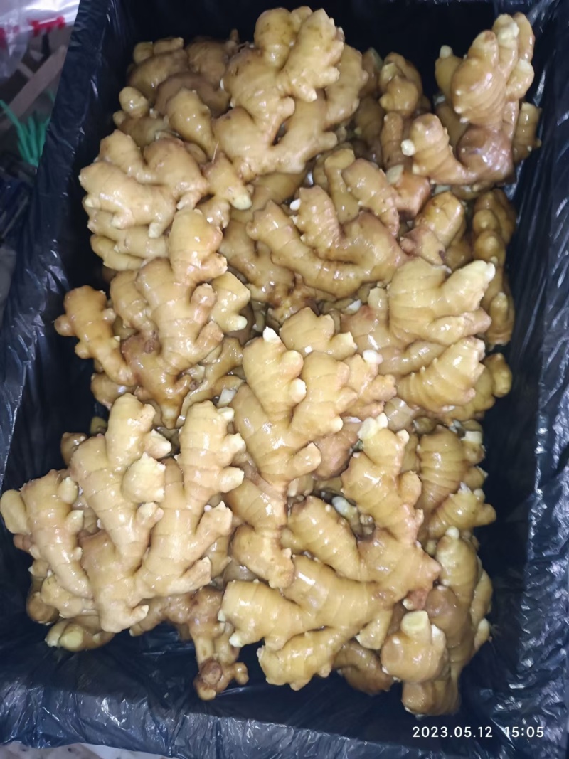 小黄姜