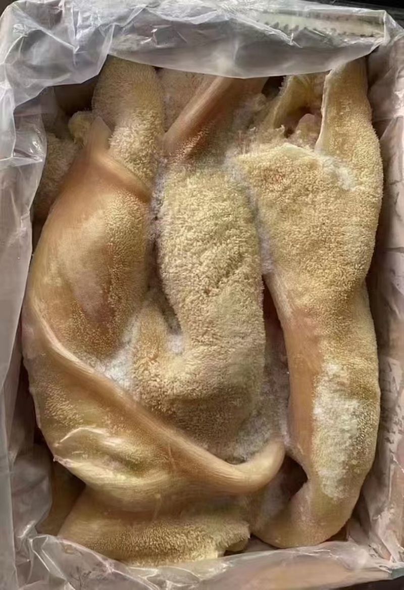 牛肚