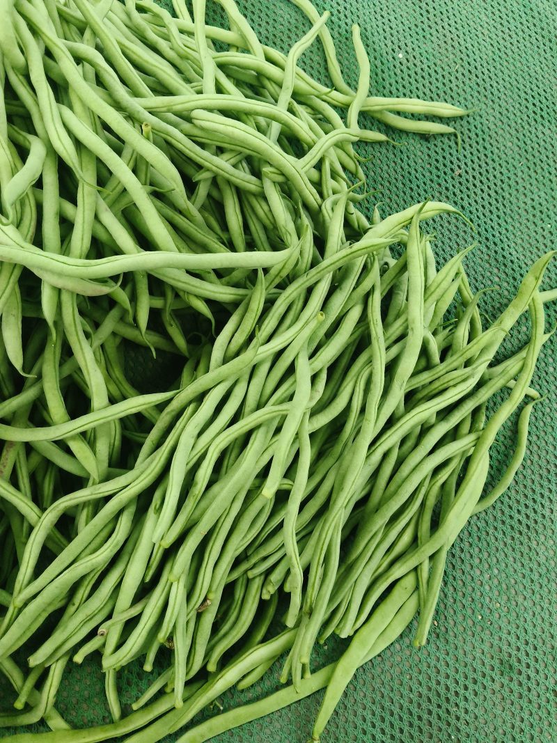 豆角白豆原包0.6元/斤，打包装2.5元/斤；绿豆王（长