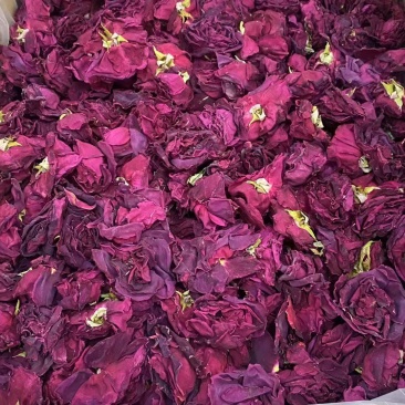 葛根葛根片，实拍